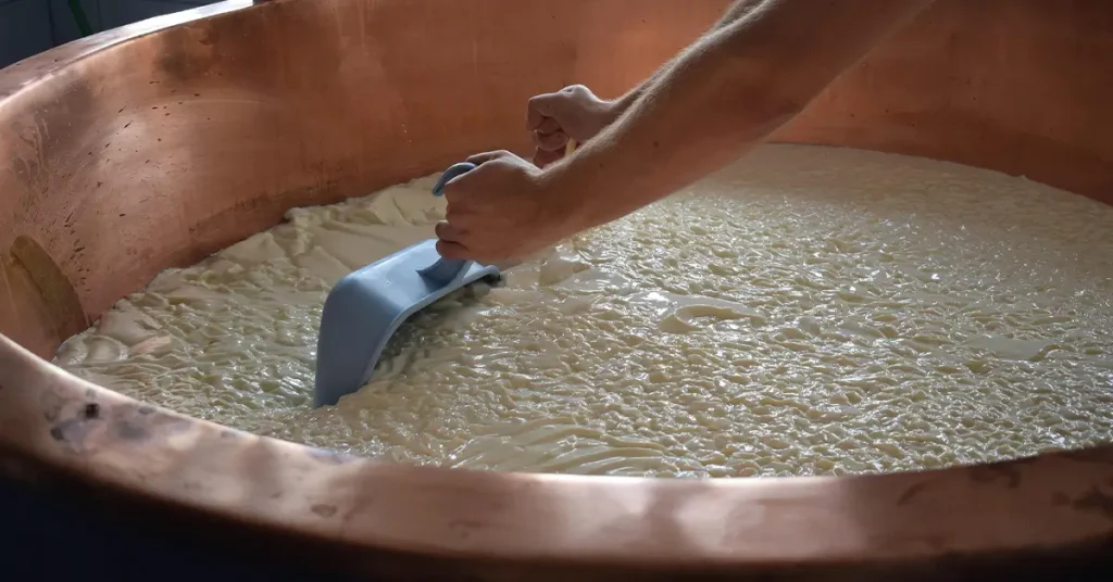 proceso de corte de la cuajada