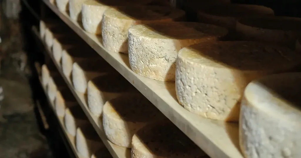 quesos madurando lentamente